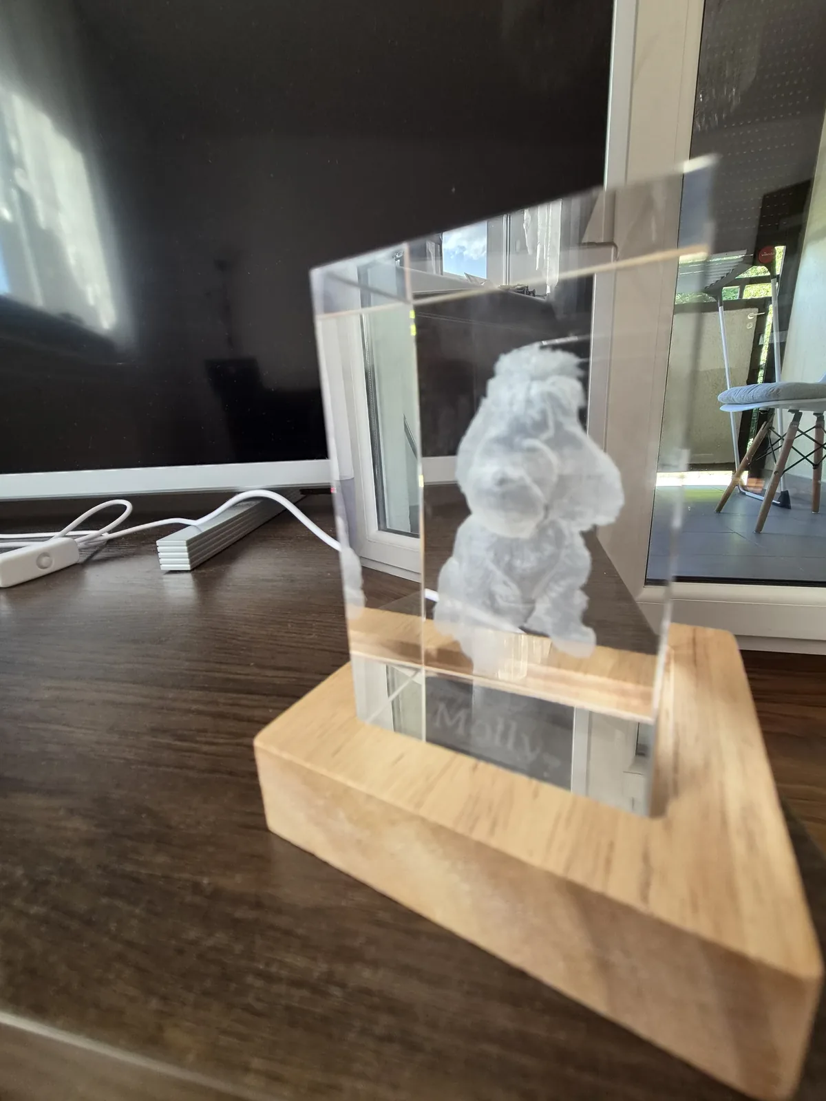 Grawer 3D psa Molly w krysztale